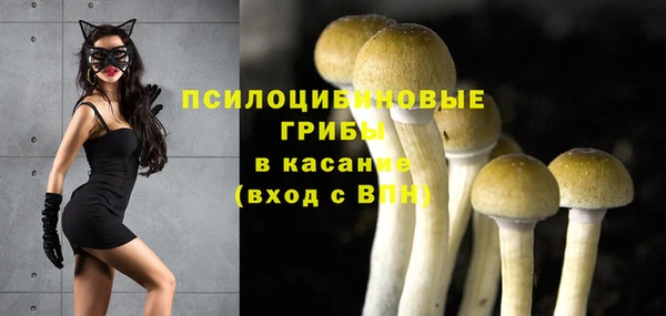 экстази Баксан