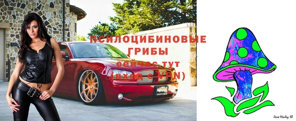spice Ростов