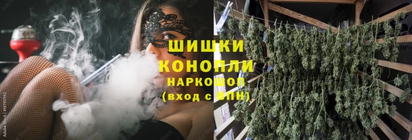 гашик Балахна