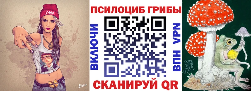 Псилоцибиновые грибы GOLDEN TEACHER Печора