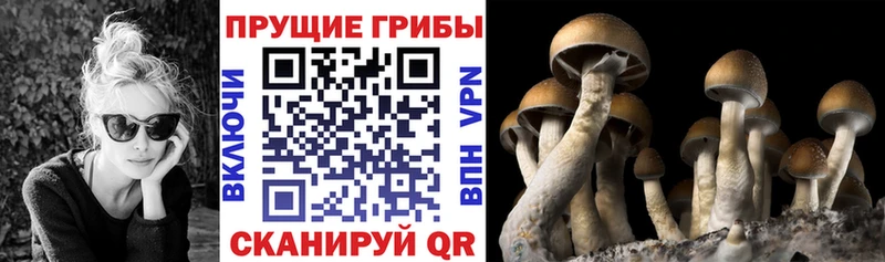цены наркотик  Печора  Псилоцибиновые грибы Psilocybe 